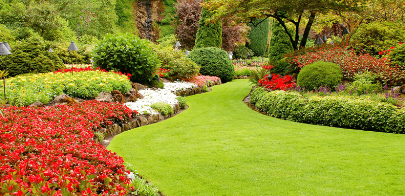3-Key-Steps-to-Help-You-Achieve-a-Beautiful-Lawn.png
