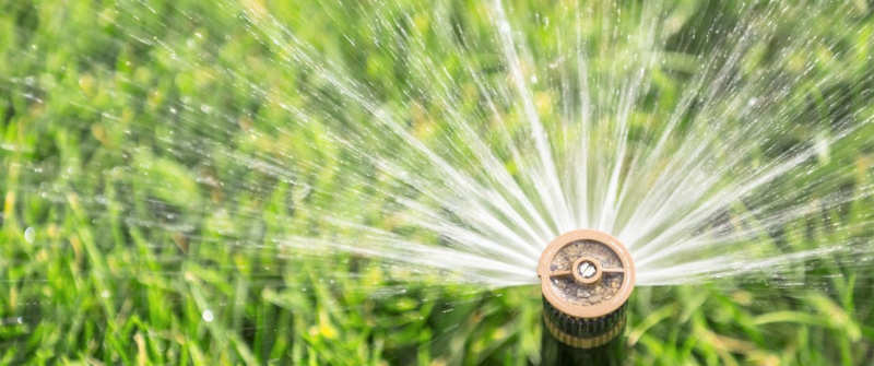 advice_for_installing_a_home_irrigation_or_sprinkler_system-1290x540.jpg