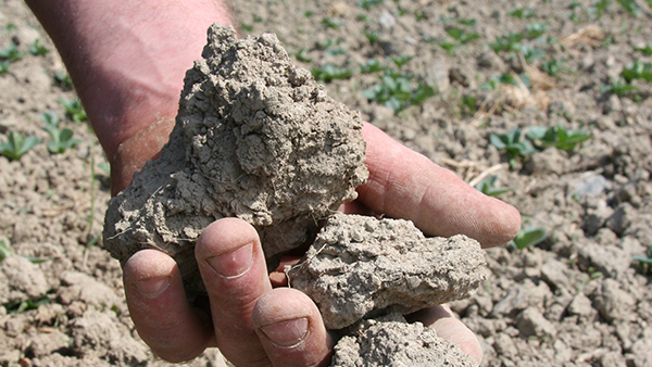 clay-soil.jpg