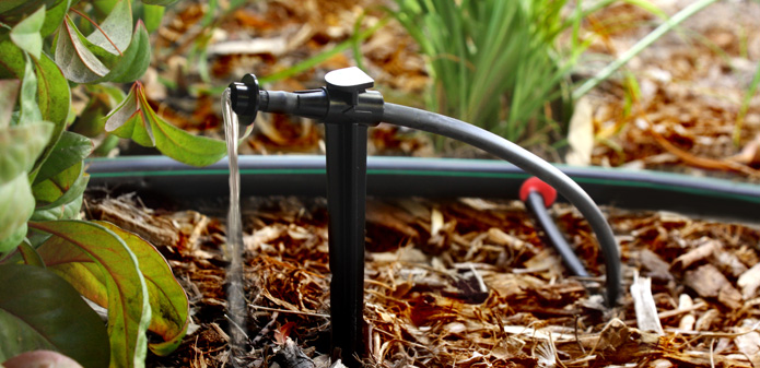 drip-irrigation.jpg